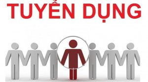 Ngành học có nhu cầu tuyển dụng cao tại Canada